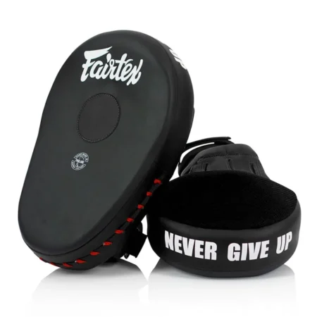 Fairtex focus mitts